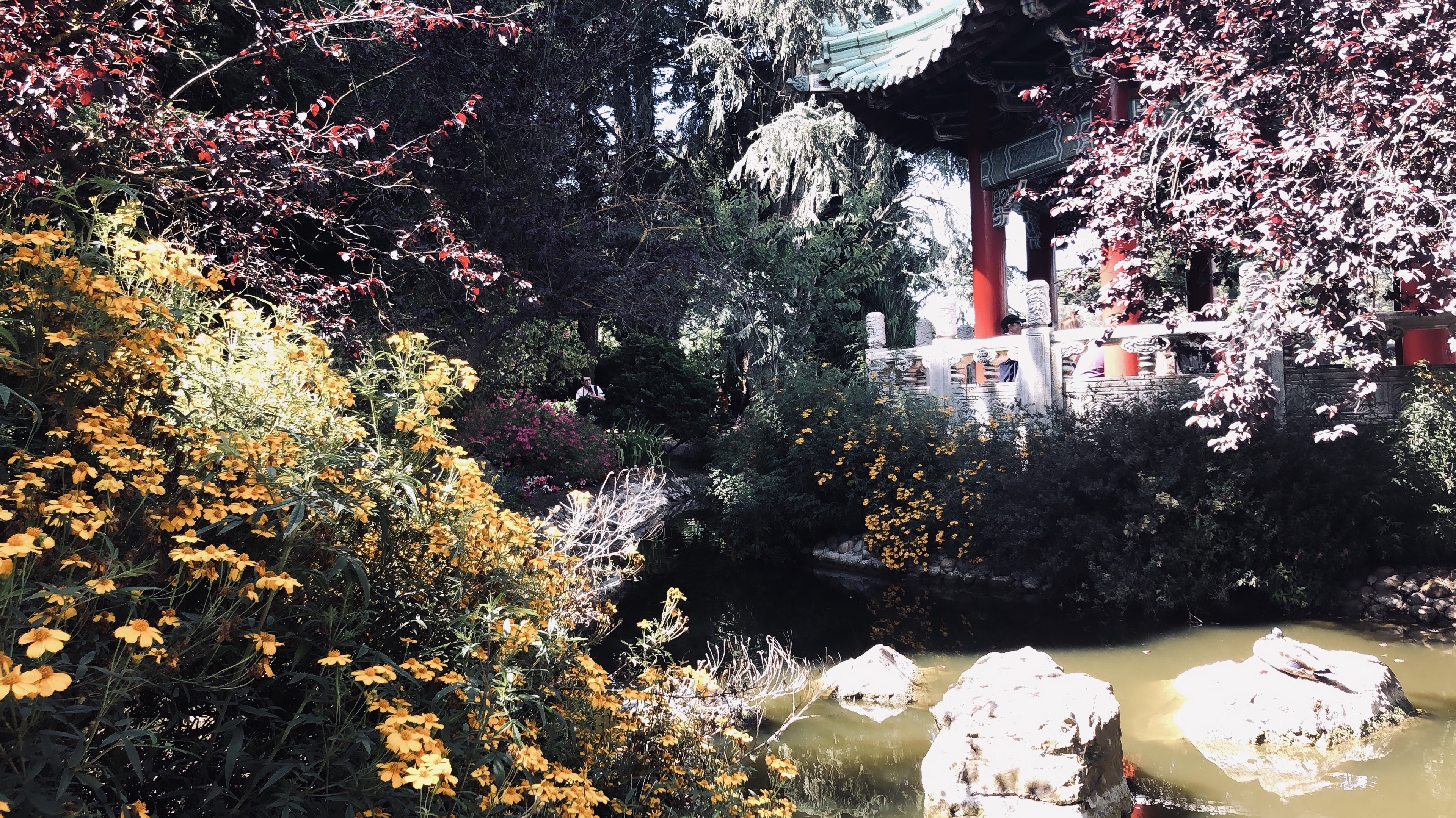 Japanese Garden