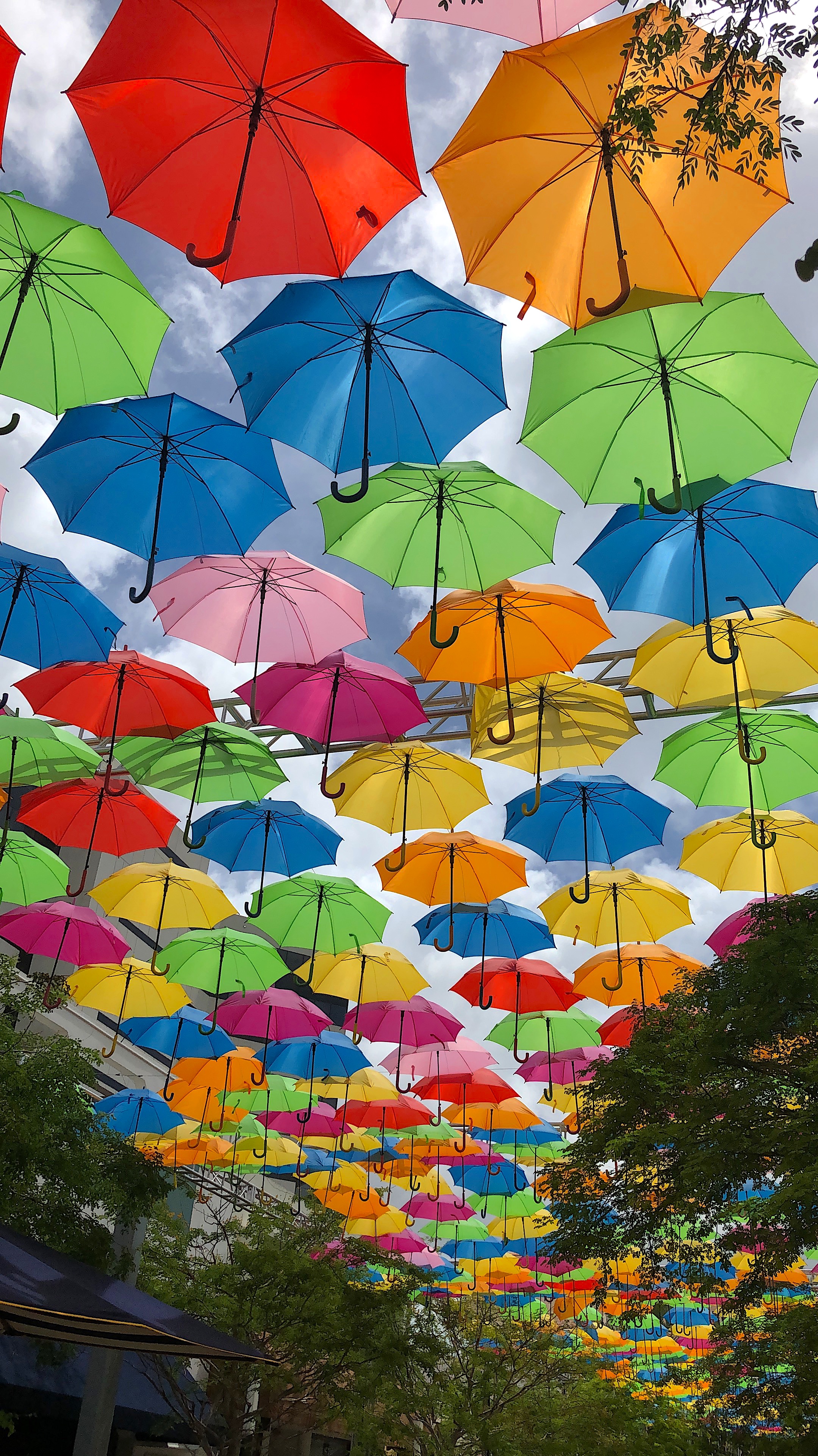 Umbrellas street at Coral Gables